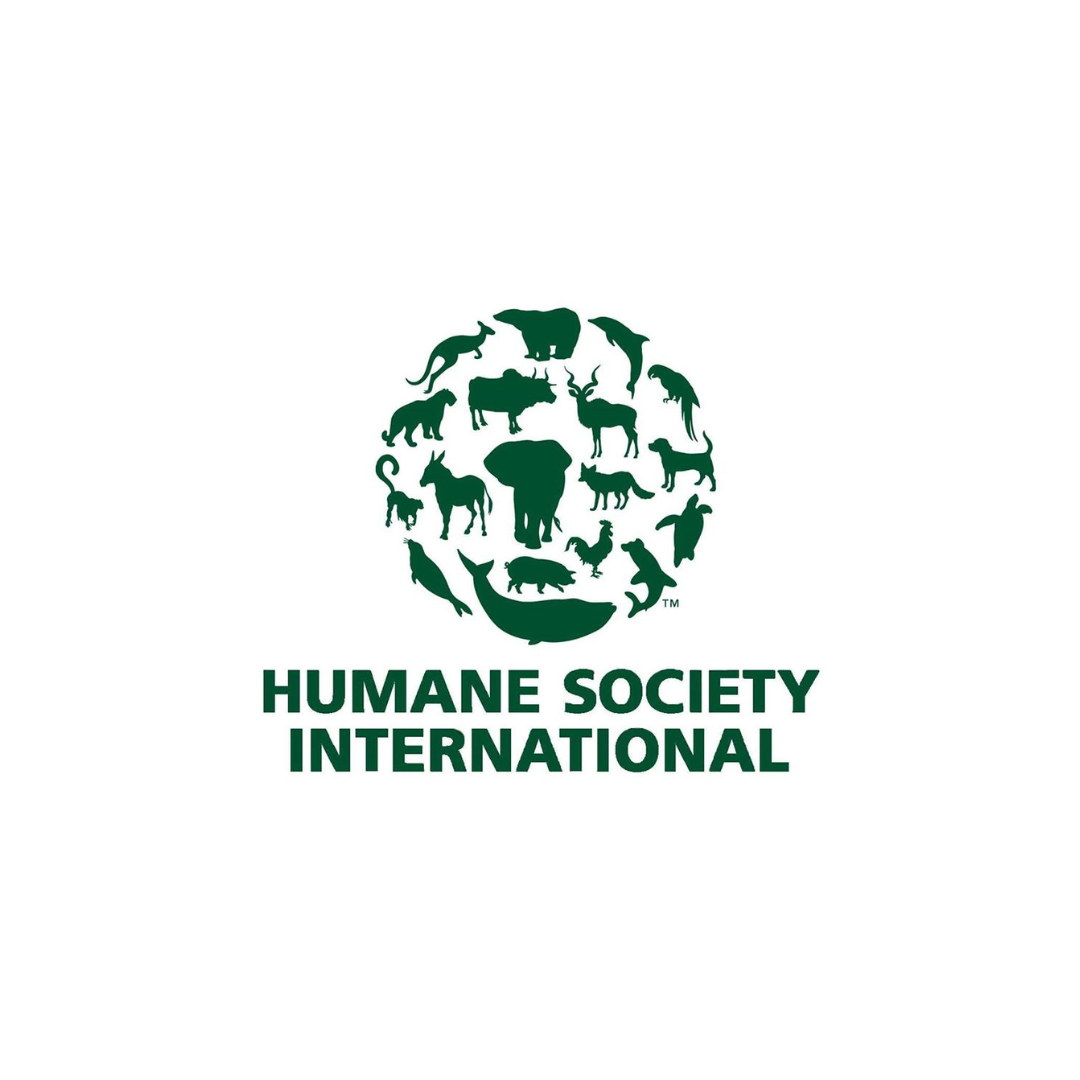 HSI logo