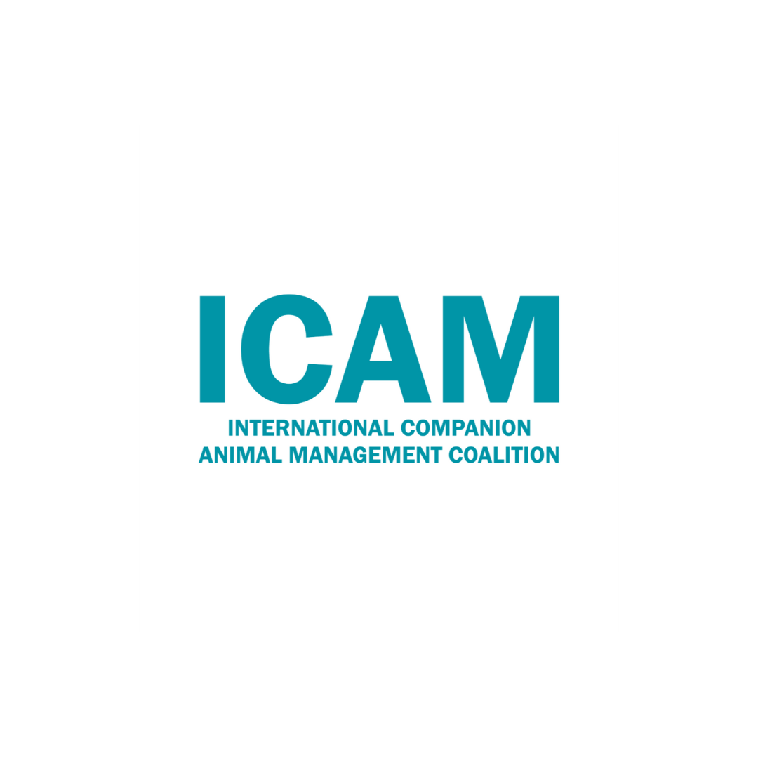 ICAM logo