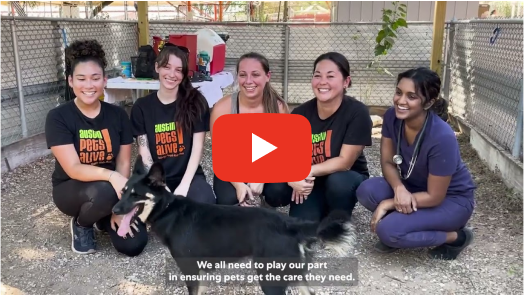 Mars End Pet Homelessness 