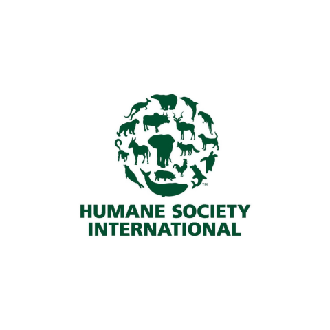 HSI logo