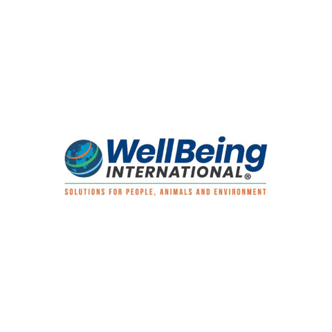Wellbeing International logo
