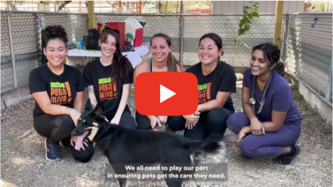 Mars End Pet Homelessness 